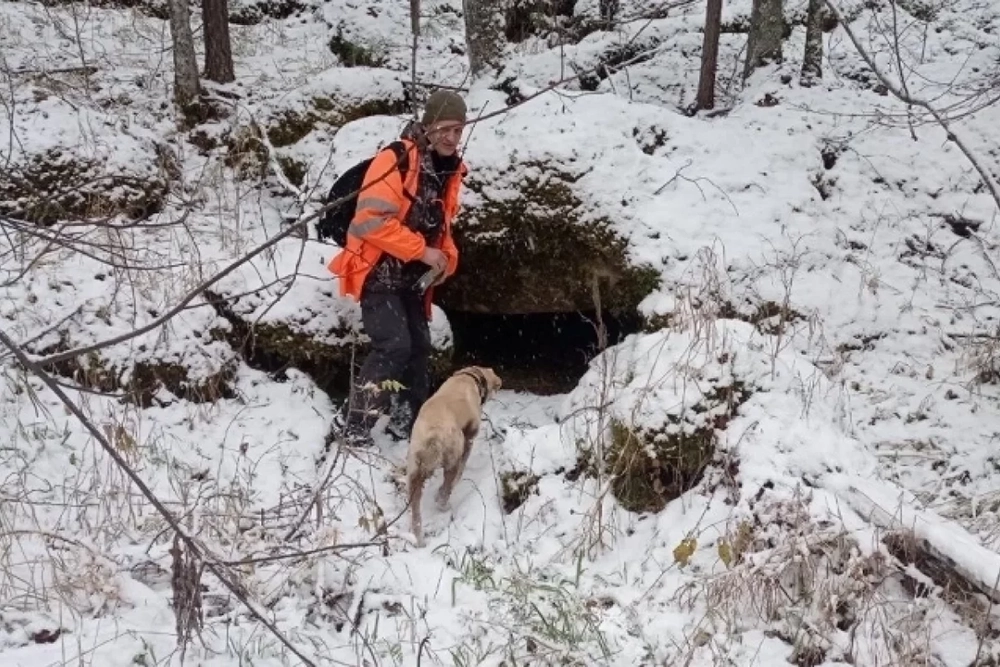 Bentang alam Taiga Krasnoyarsk di wilayah Kuturchinskoye Belogorye.