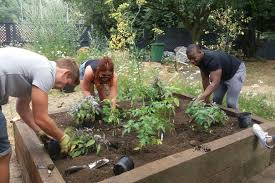 berkebun dan mengolah tanah.