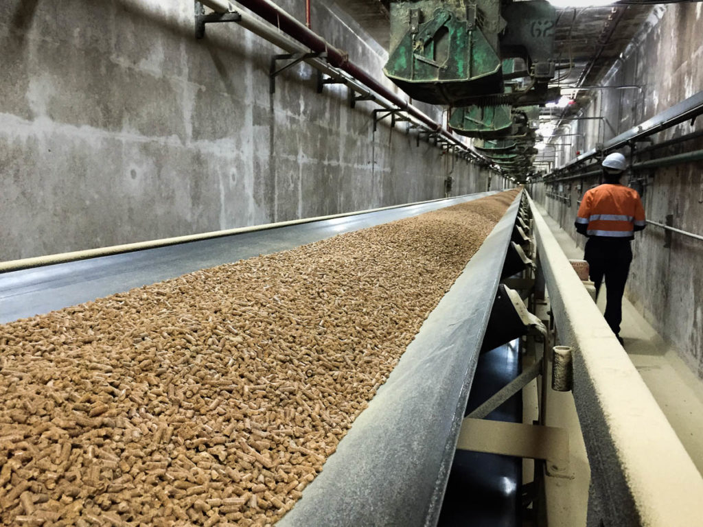 Produksi gambut dan briket energi di Belarus.