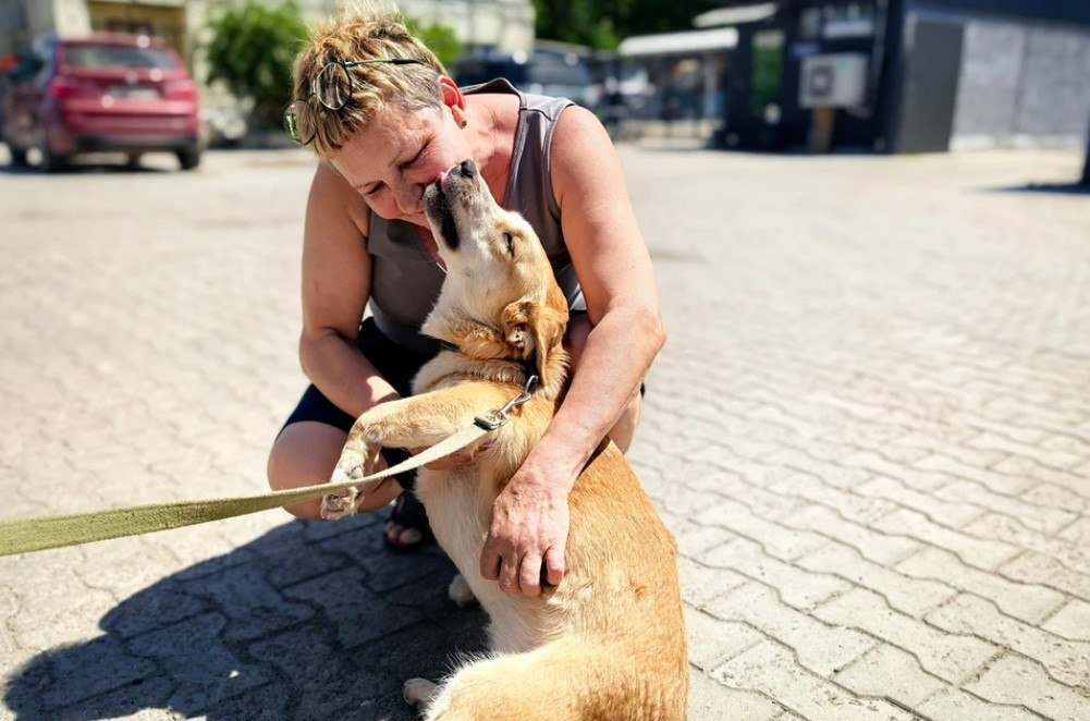 Irina Volik bersama anjing-anjing yang diselamatkan di Donetsk.
